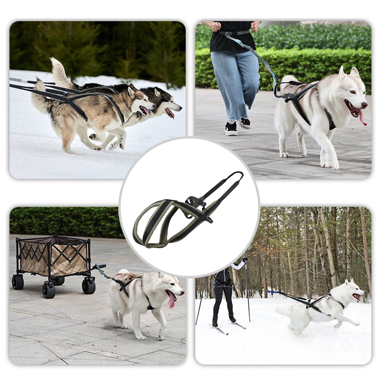 Chalecos reflectantes para perros, chalecos de entrenamiento para perros, equipos para perros y gatos, arneses para paseos nocturnos