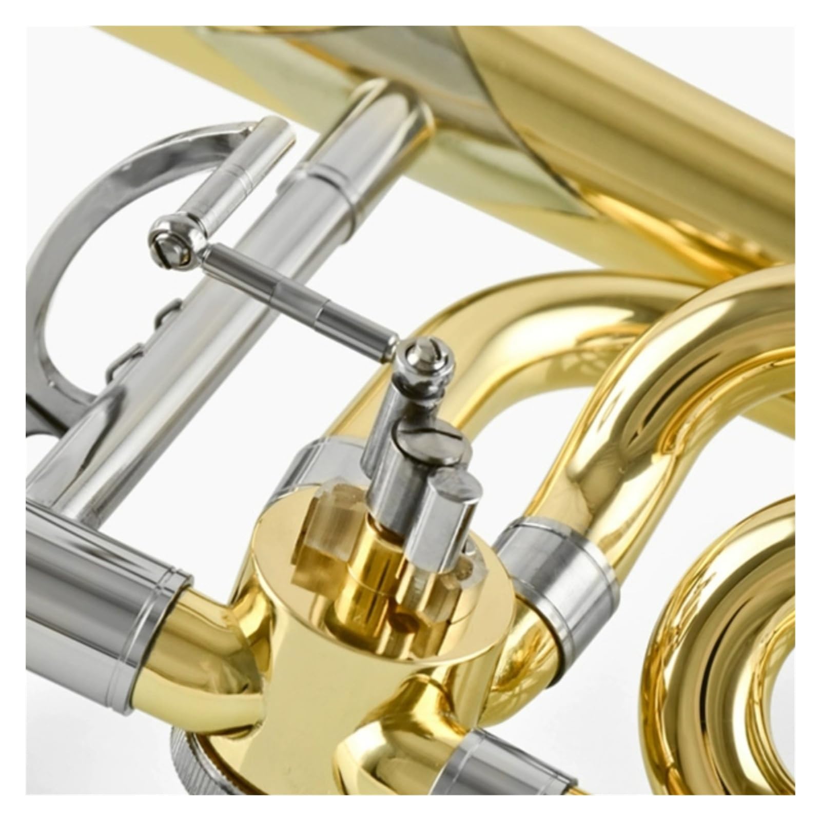 Trombón profesional apto para principiantes Instrumento en si bemol