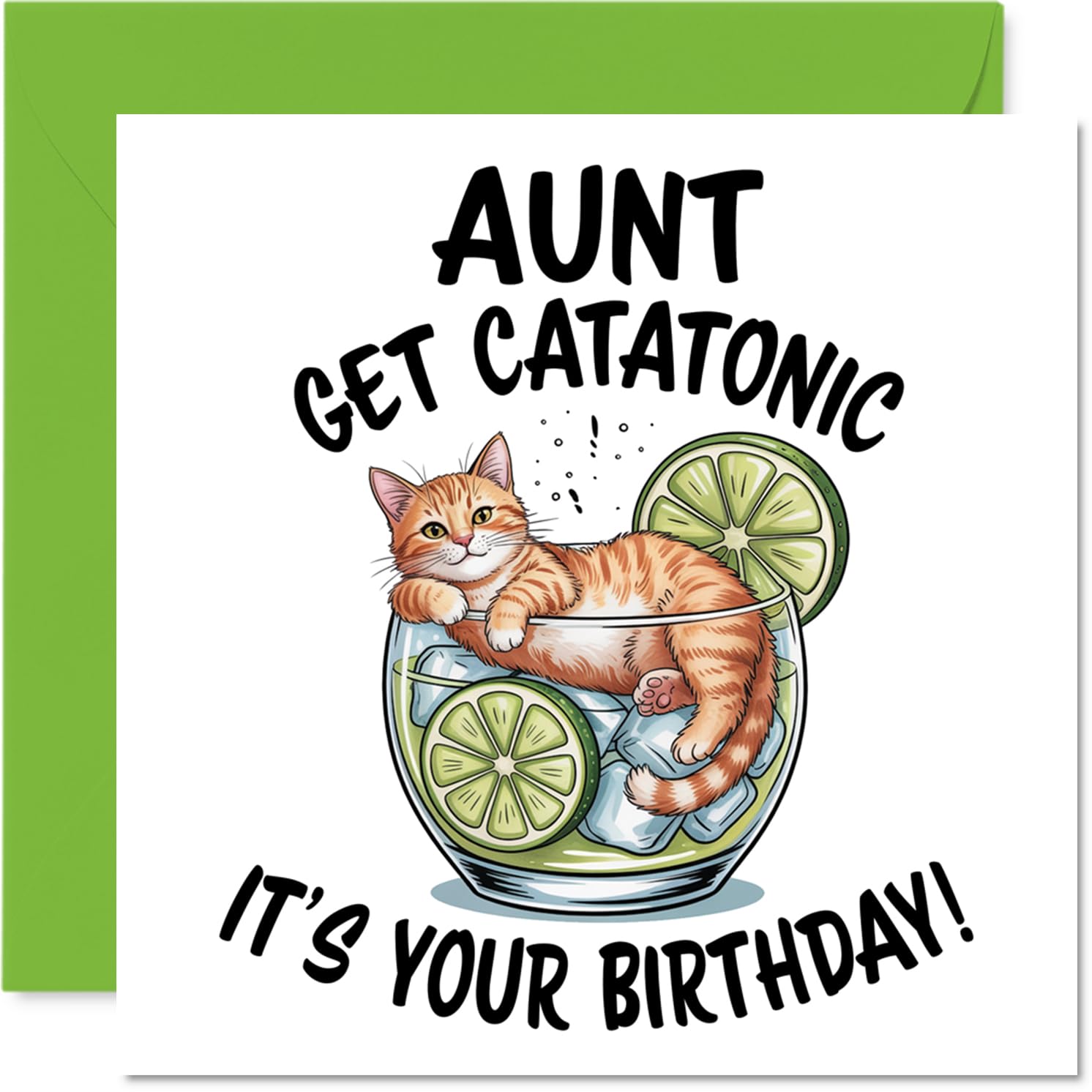 Aunt Birthday Card - Catatonic - Happy Birthday Card for Aunt from Nephew Niece, 145mm Cute Animal Design Bday Greeting Cards
