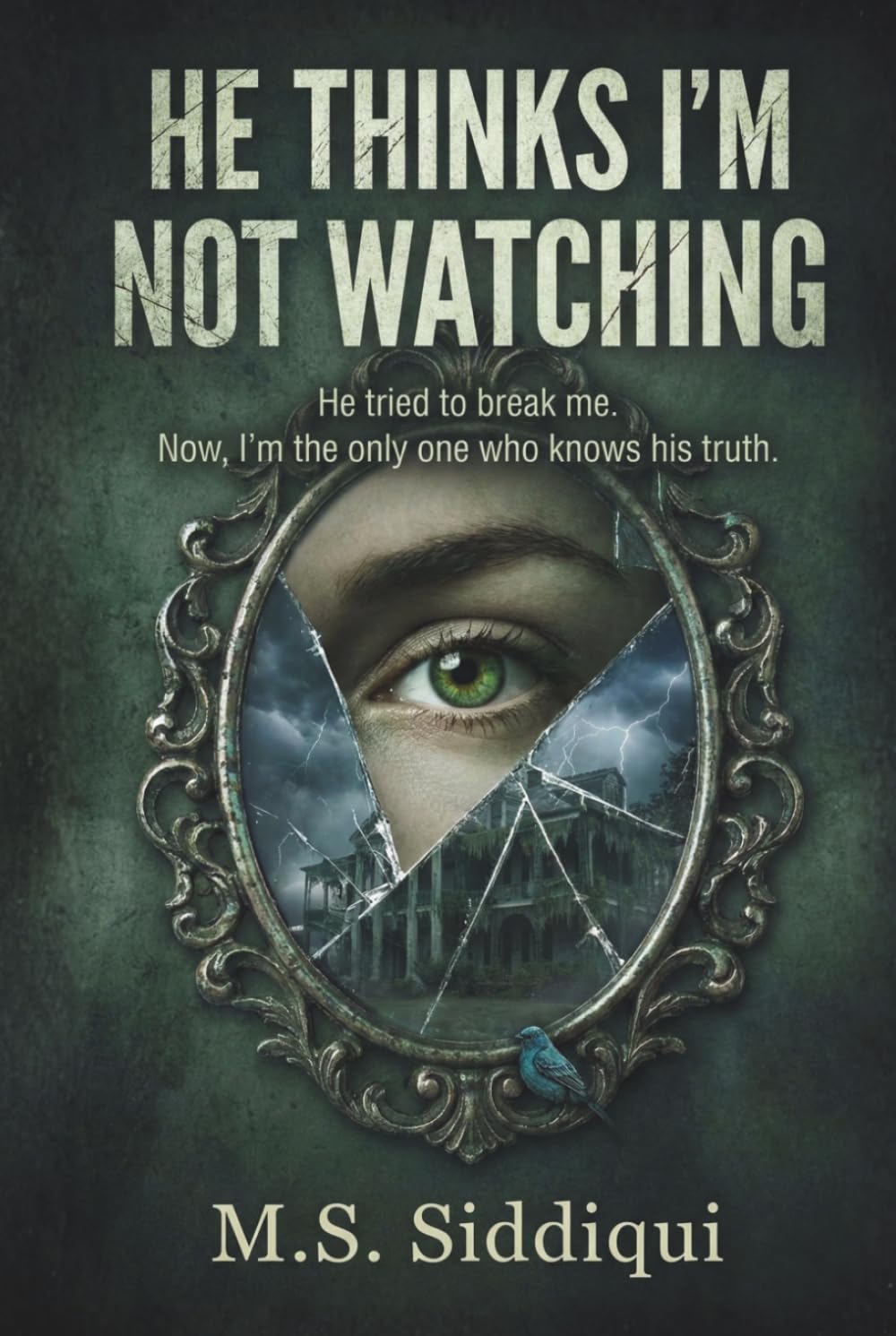 He Thinks I’m Not Watching: He tried to break me. Now, I’m the only one who knows his truth