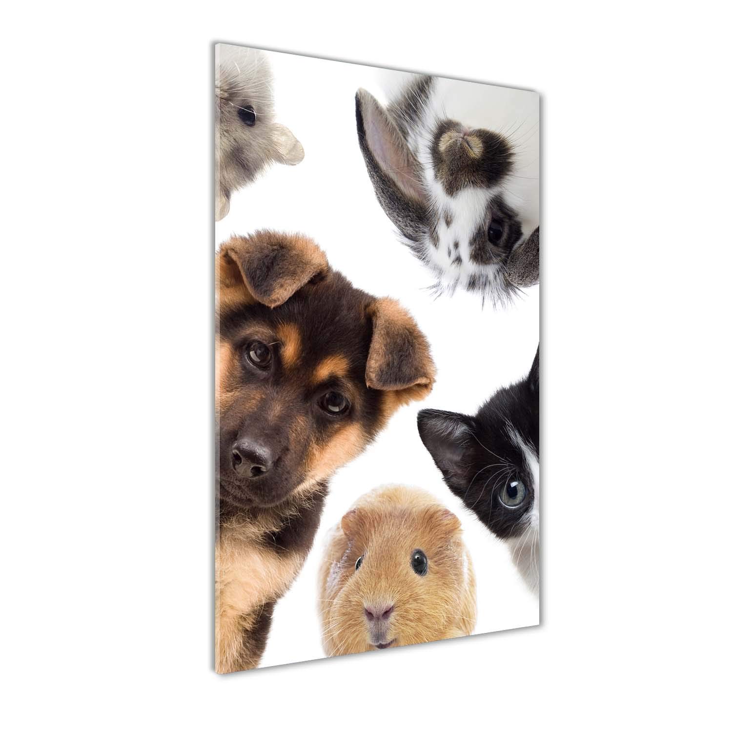 Tableaux pour la mur en verre acrylique Tulup au design premium d'animaux
