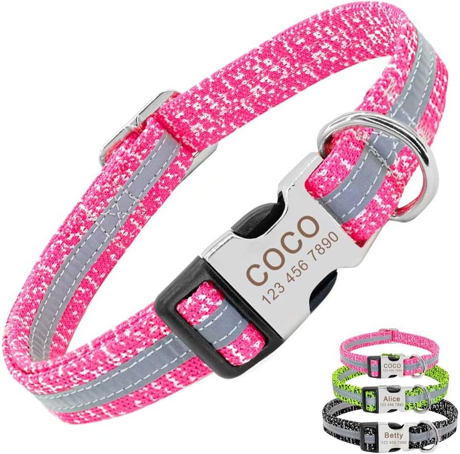 coco dog collar