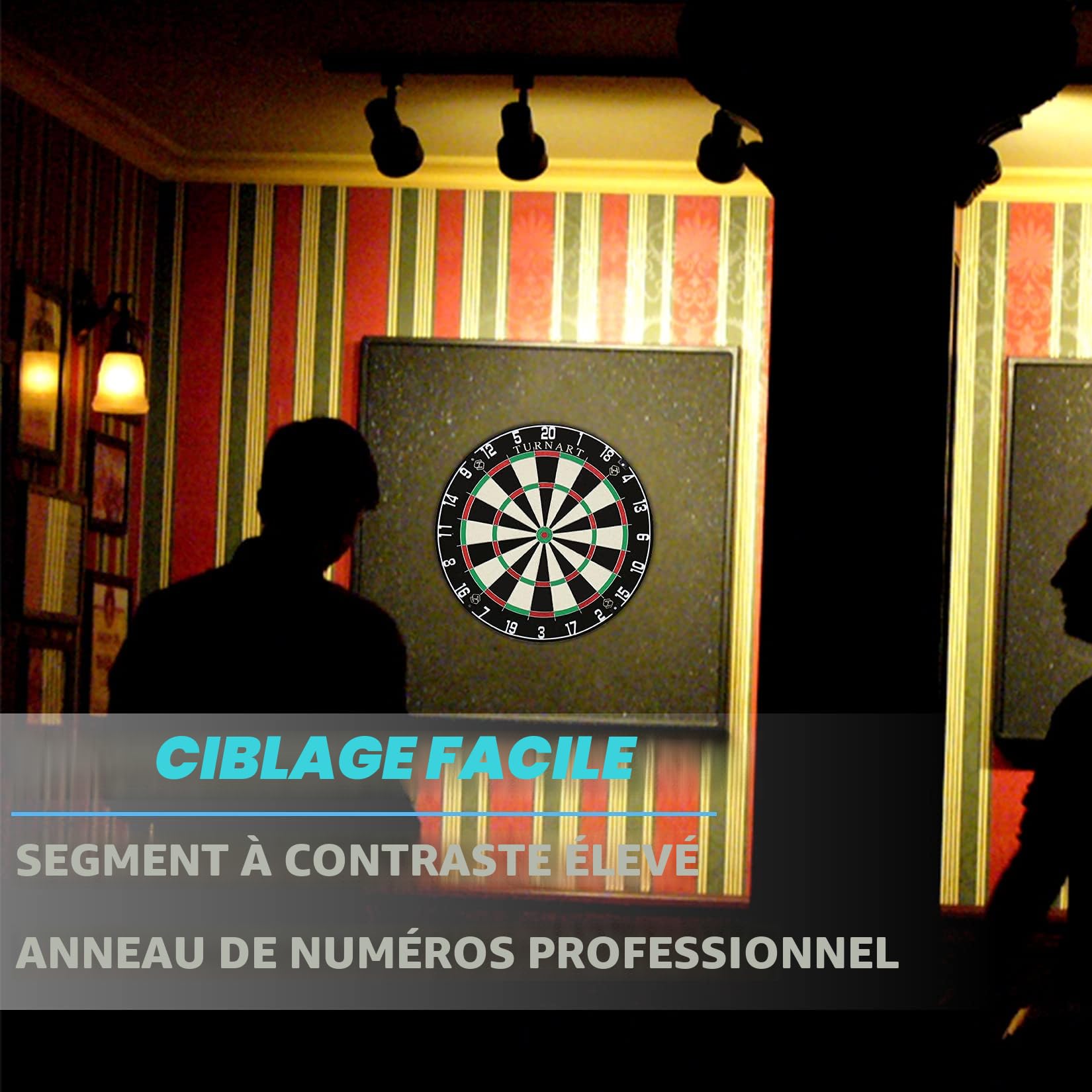 Cibles Standard en Acier avec 6 Fléchettes à Pointe en Acier de 20 g, 12 Ailettes, Jeux de Précision avec Cible Uniquement