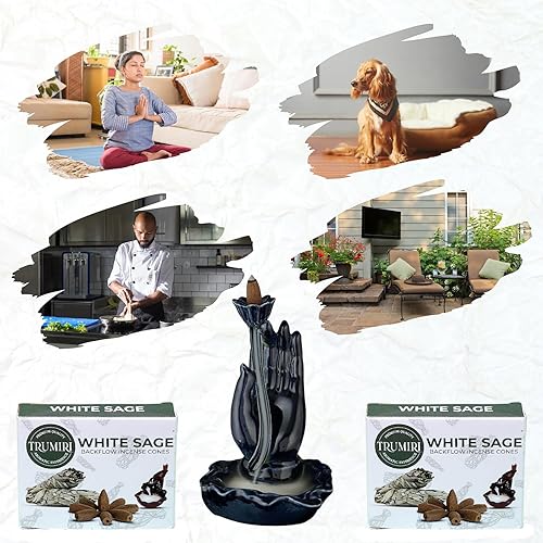 Miniatura 3 de Conos de incienso de reflujo de salvia blanca  Total de 20 conos de incienso en cascada  Paquete doble de 10 conos de incienso de reflujo  Conos de