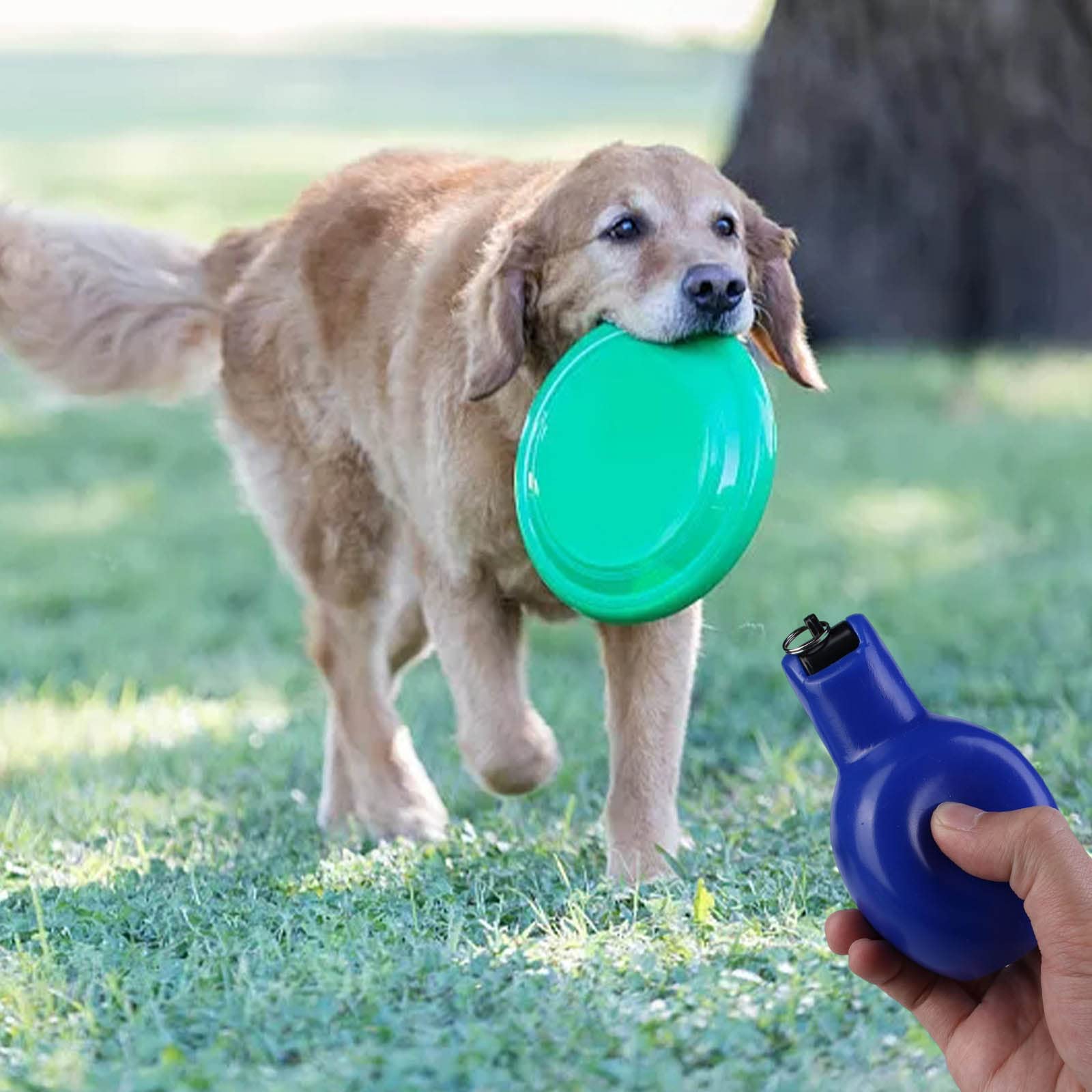 Sifflet En Métal Pour Arbitre,sifflets En Acier Inoxydable,sport,rugby