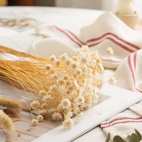 Miniatura 2 de 200 piezas naturales  secas  Flores brasileñas pequeñas de margaritas secas de estrella pequeña secada mini ramo de manzanilla decorativo para bodas