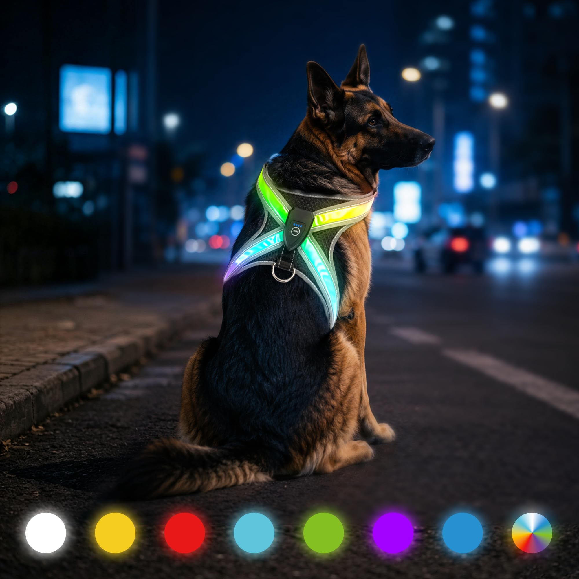 Light Up Dog Harness for Night Walking, Large