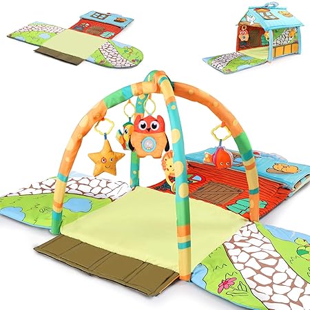 Tiny Wonders Baby Activity Gym Mat 