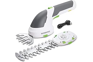 Ryobi Cordless Grass Cutter: The 2-in-1 Solution for Precise Trimming