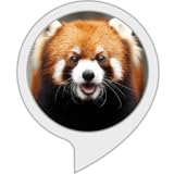 いきものクイズ