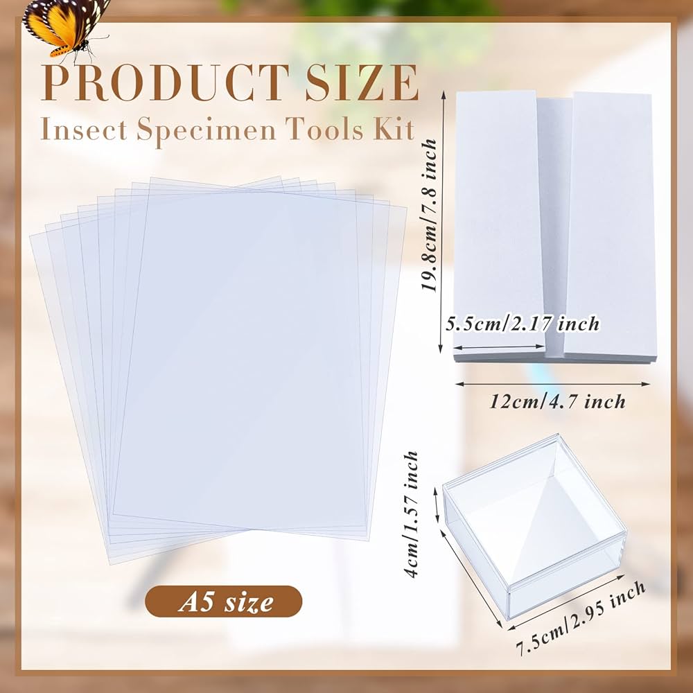 IHEIPYE Insect Display Case Wall Mount Bug Display Case Collection Box Butterfly Specimen Anti Fade 98 Uv Protection Acrylic Top Eva Foam Pinning Board 3 Sizes Pi