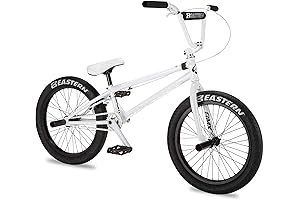 Eastern Element Model 20 Inch BMX Bike: Perfect for Freestyle & Park Riding