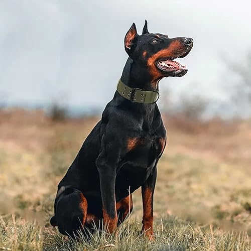 Miniatura 4 de Collar táctico personalizado para perro con parches de nombre y números, collar personalizado resistente con hebilla de cinturón de metal de 2 pines