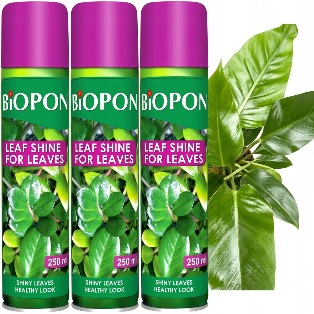 Leaf Shine Spray 3x250ml – Indoor Plants & Bouquets
