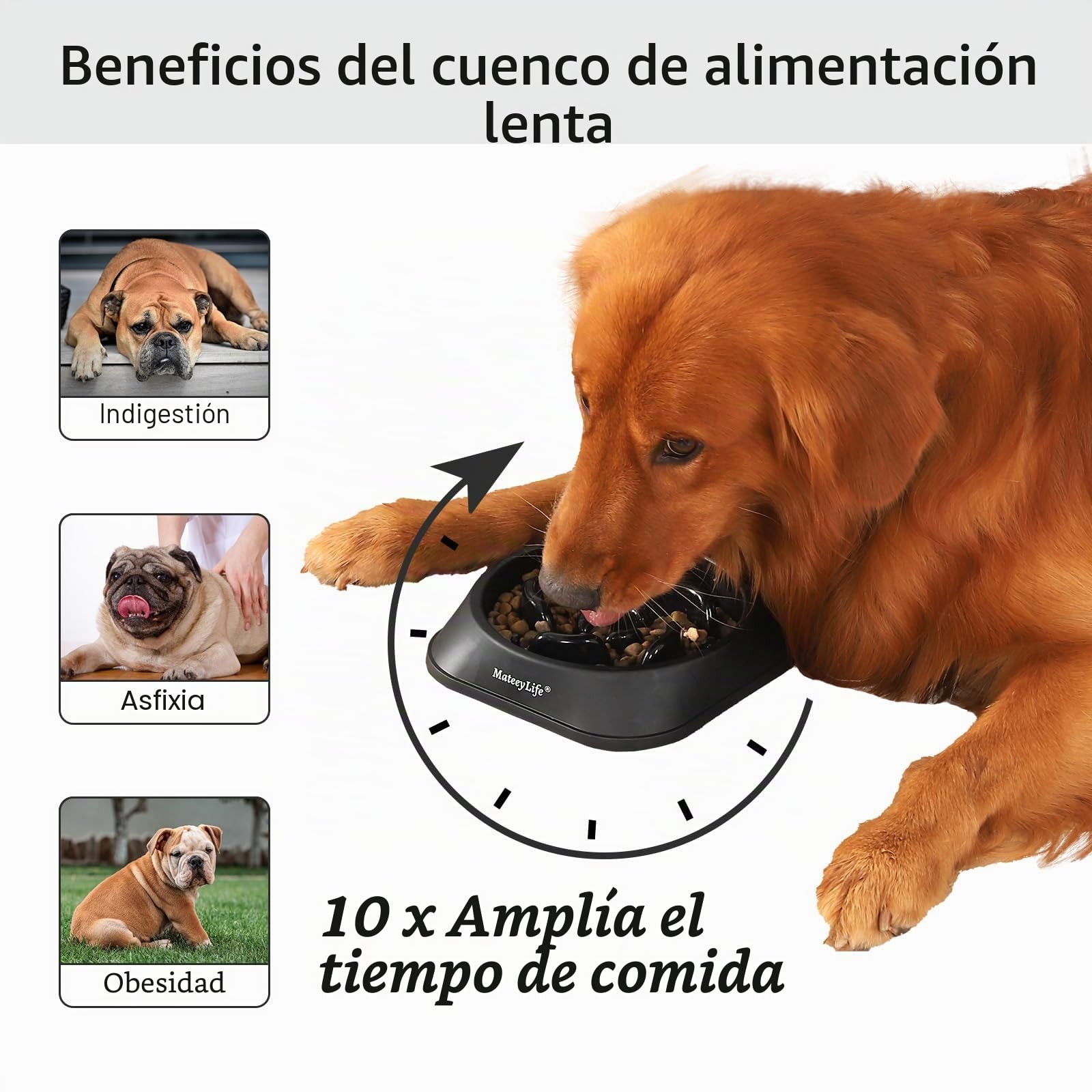 Mateeylife Comedero para Perros, Comedero Perro Antivoracidad para Cani Mediani e Grandi, Slow Feeder Anti Ingozzamento, Mediano 1 Unidad