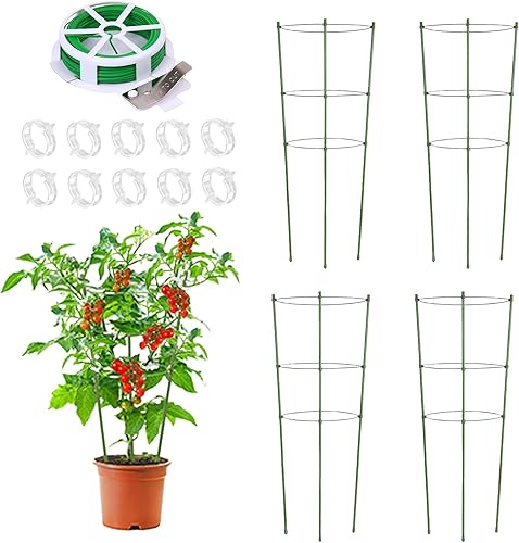 Miniatura 1 de Jaulas de tomate para jardín, paquete de 4 jaulas de tomate pequeñas de 18 pulgadas y soporte con anillos ajustables para macetas de jardín, estacas