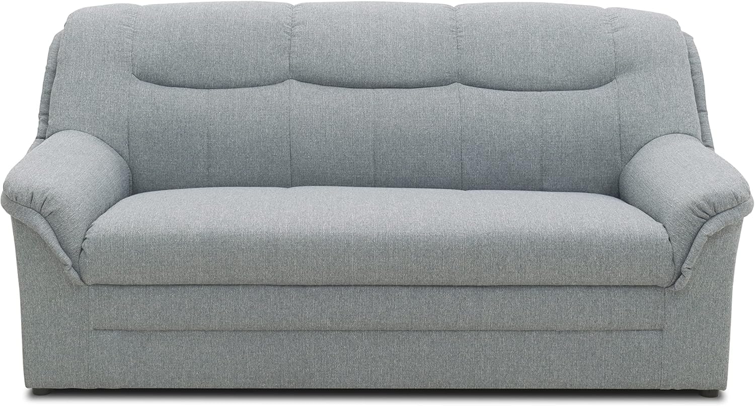 DOMO. Collection Canapé Berlin Classique 3 Places avec Ressorts de qualité supérieure, 3 Places, 178 x 90 x 89 cm (l x p x h), argenté