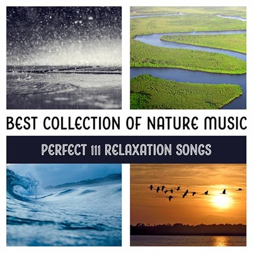 Relaxation Music Peaceful Forest River By Serenity Nature Sounds Academy On Amazon Music Amazon Com