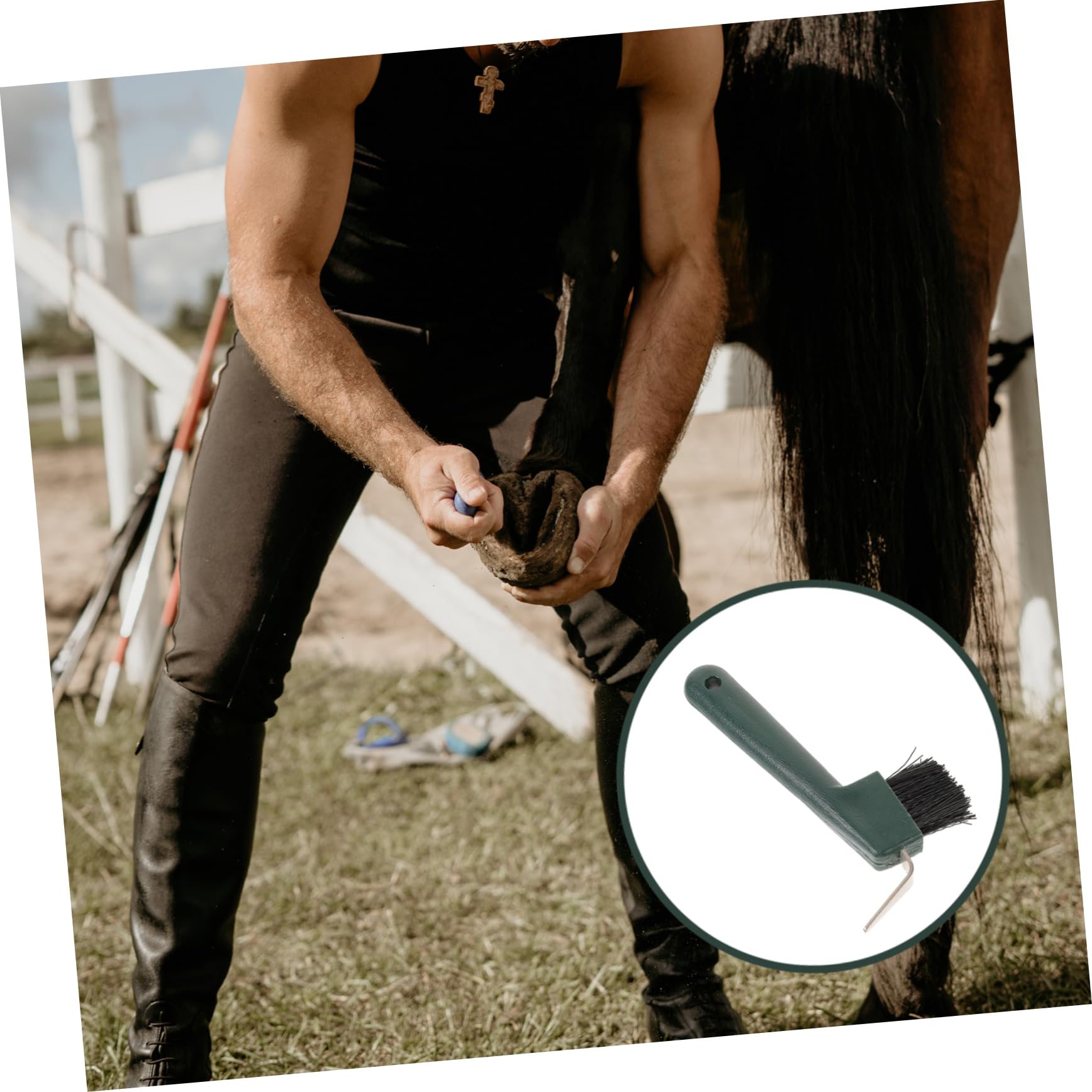 BESPORTBLE Practical Horse Hoof Pick Brush Horse Hoof Cleaning Brush Made of Iron Plastic Safe for Horsehair Cleaning Random Color