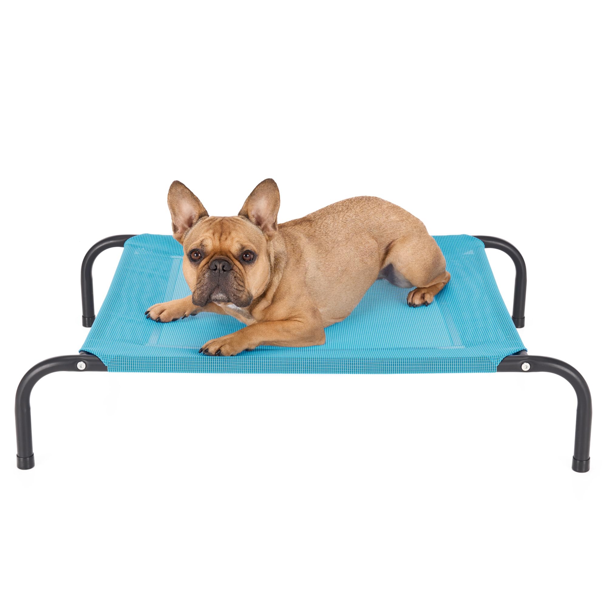 FurHaven Elevated Pet Cots - Cooling & Breathable Nylon Mesh Hammock for Small Dogs & Cats/Easy-to-Assemble / / Durable and Reinforced/Perfect for Rest & Relaxation Outdoors - Capri Blue, Small
