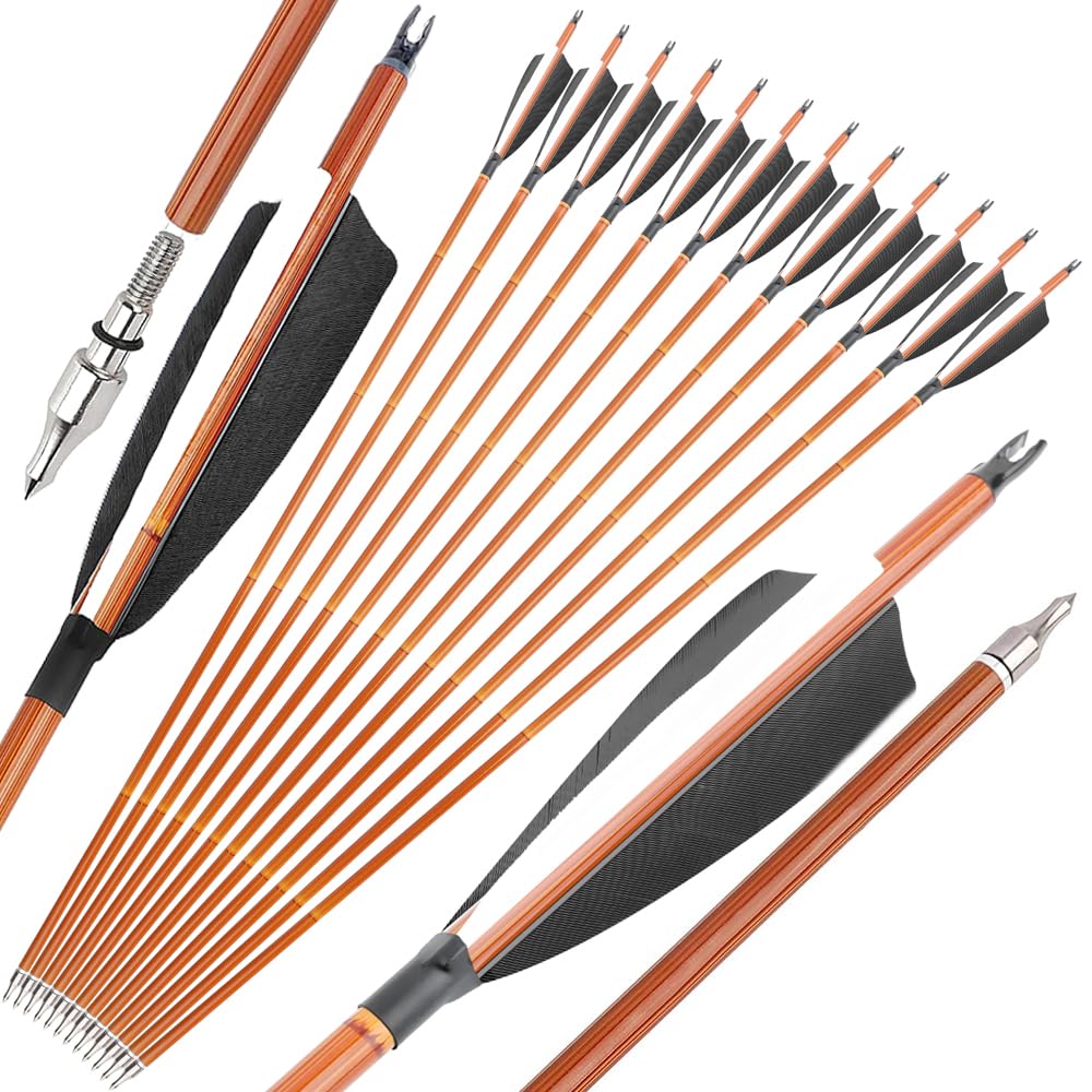 12 Stück professionelle Hybrid-Carbonpfeile mit 4-Zoll-Naturfedern – SP500 Bogenschießpfeile, ideal für Wettkämpfe und Training im Innen- und Außenbereich