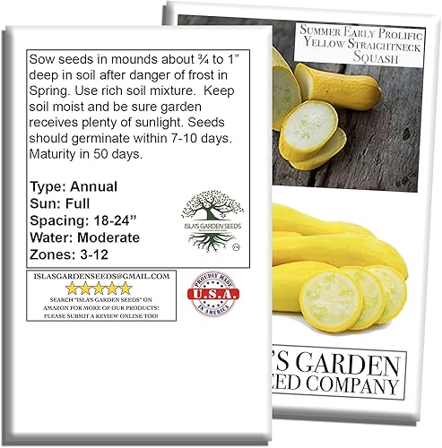 Miniatura 7 de Semillas de calabaza de verano de cuello recto amarillo prolífico temprano para plantar, más de 50 semillas vegetales tradicionales por paquete,