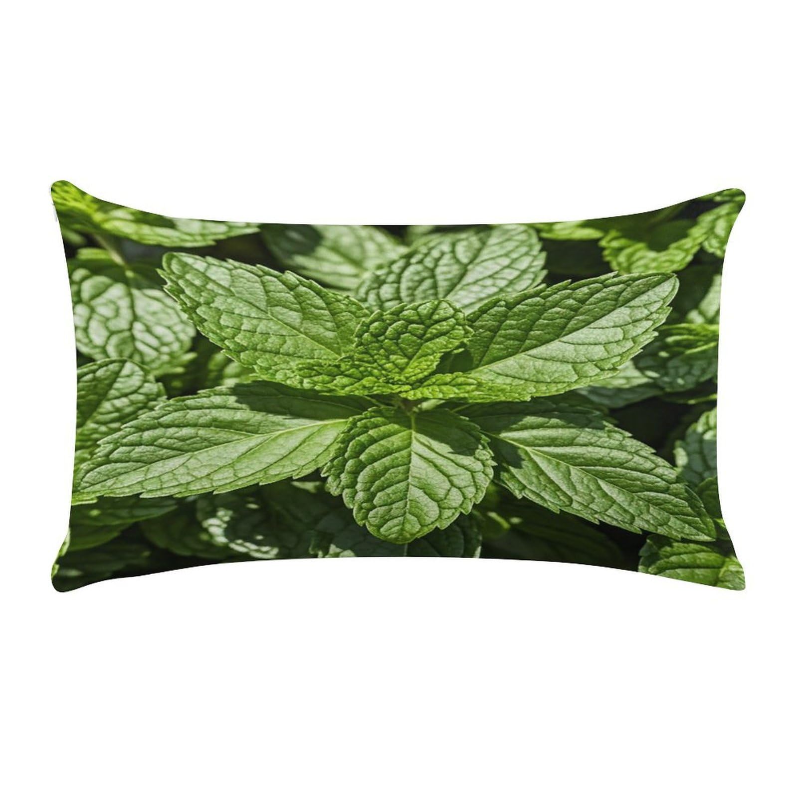 FekiLoot Peppermint Pillow Covers Short Plush Pillowcase with Zipper Cozy Soft Rectangular Throw Pillow Case Luxury Style Cushion Cases Decorative Lumbar Pillow Shell 12" X 20"