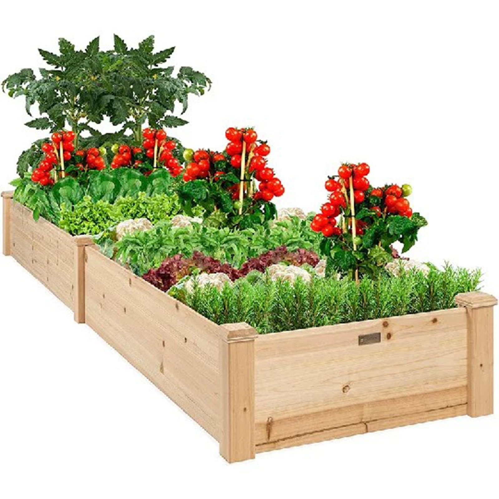 Caja de plantación de madera rectangular con rejilla doble para huerto en balcones y patios
