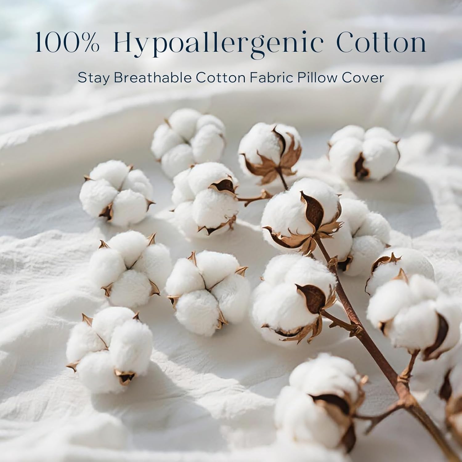 Transform Your Living Space: Review of Phantoscope 20x20 Decorative Pillow Inserts