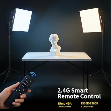 RALENO Softbox Photography Lighting Kit, 2Pack 20x20 Soft Box Light