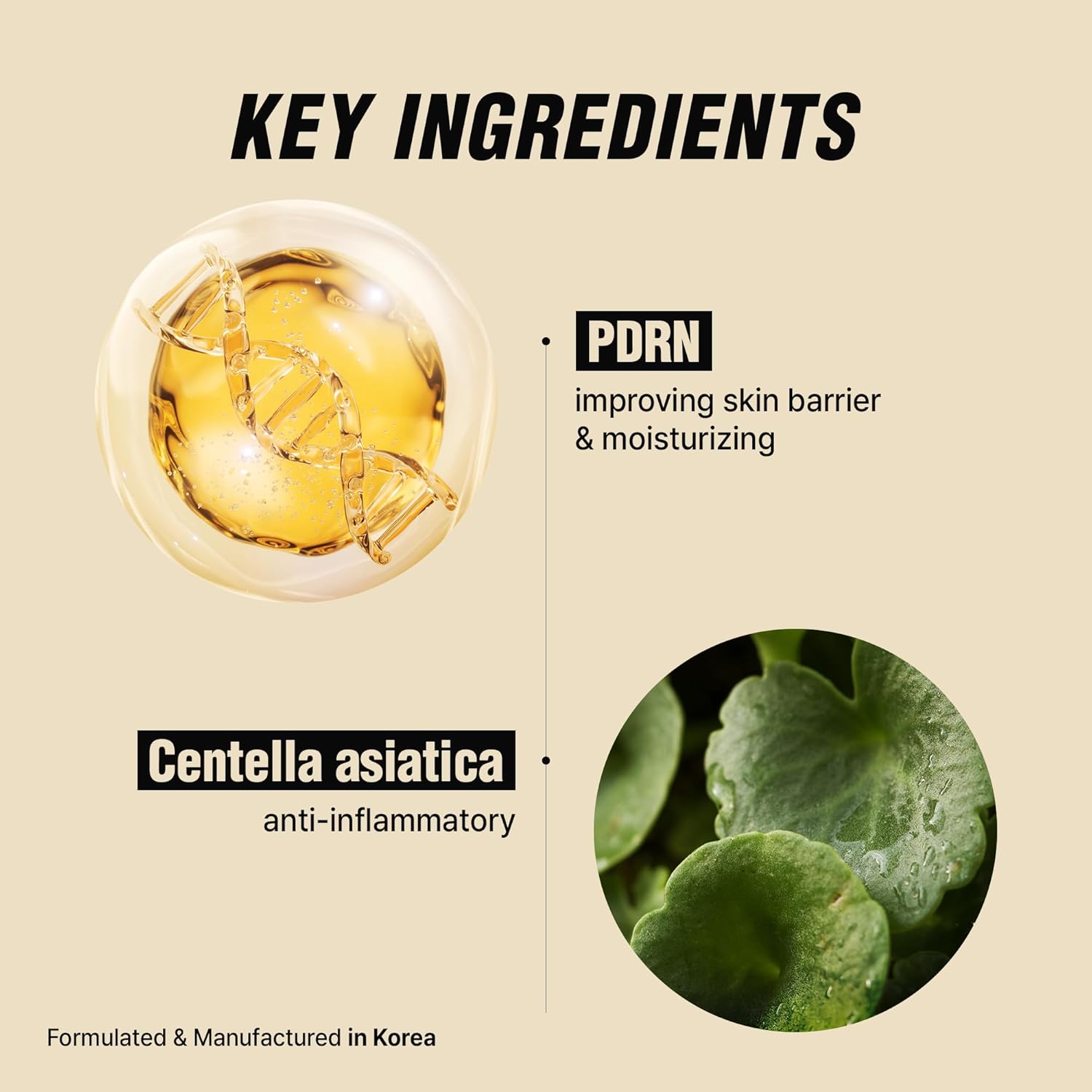 VIBANQUENTMANKA Lotion – Korean Moisturizer for Acne-Prone Skin, Barrier & Wrinkle Care with PDRN, Centella Asiatica & Salmon Extract, 30 mL / 1.01 fl. oz. - Image 6