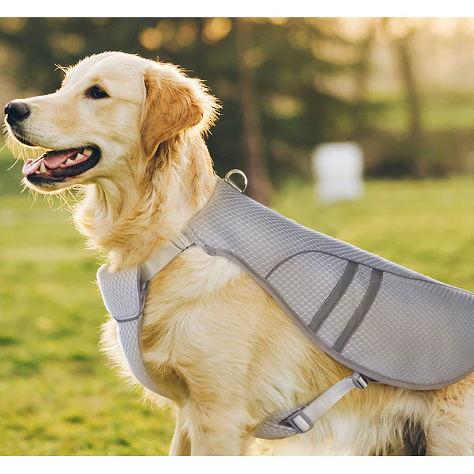 CUTTE Kühlweste für Hunde, Outdoor Welpen Kühljacke Hemden Reflektierende Sicherheit Sommer Atmungsaktive Kühljacke, Hundebekleidung