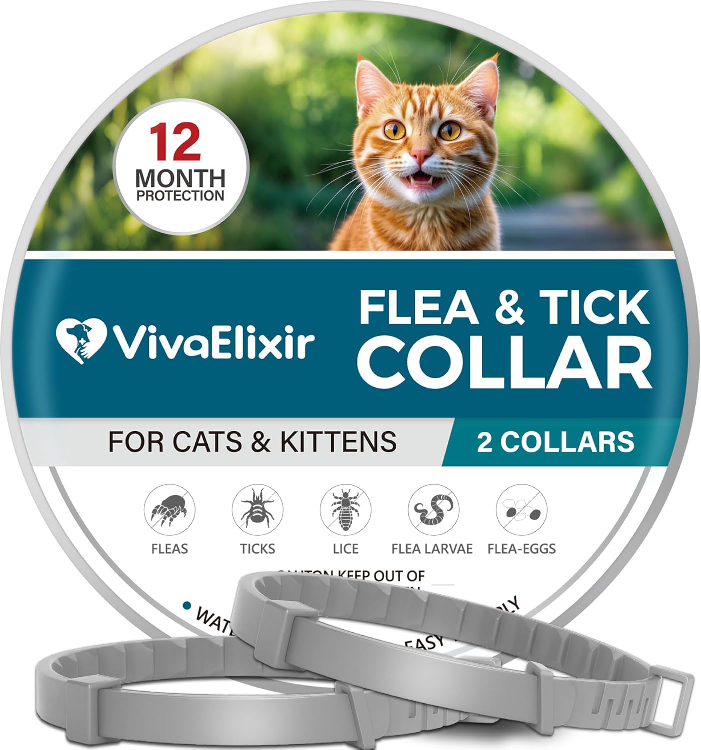 Flea & Tick Collar vs. Topical Drops: Surprising Cost Comparison
