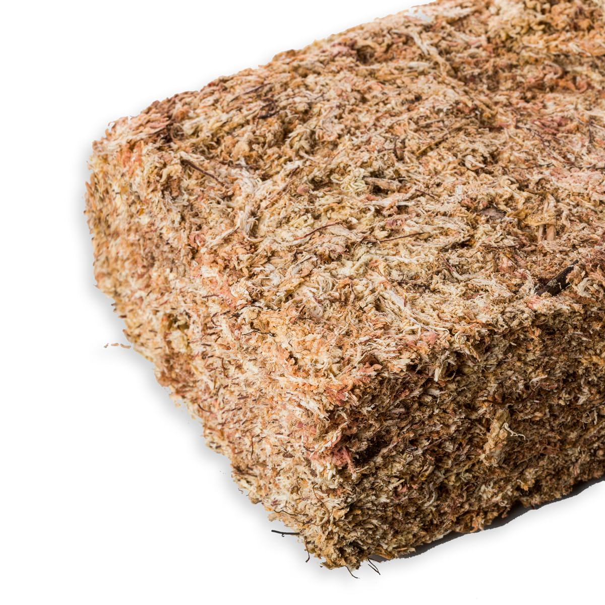 Sphaigne chilienne de première qualité 1kg, entièrement Naturelle et biodégradable. Substrat idéal pour Les orchidées, Les bonsaïs et Les Jardins verticaux.