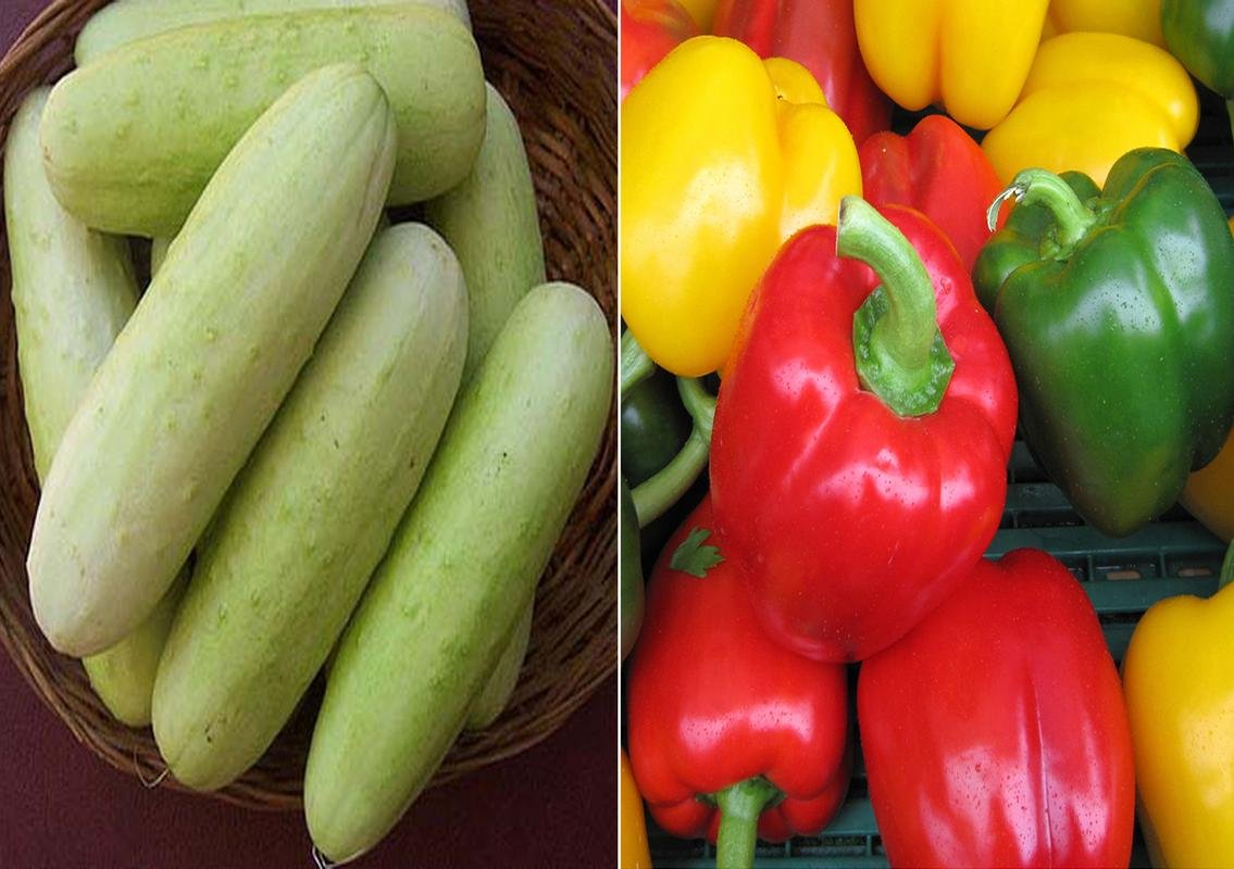 F1 Cucumber White Long and Capsicum Mixed Seeds (Pack of 30 Seeds F1 Cucumber White Long + 30 Capsicum Mixed) 60++ Seeds-picture-12