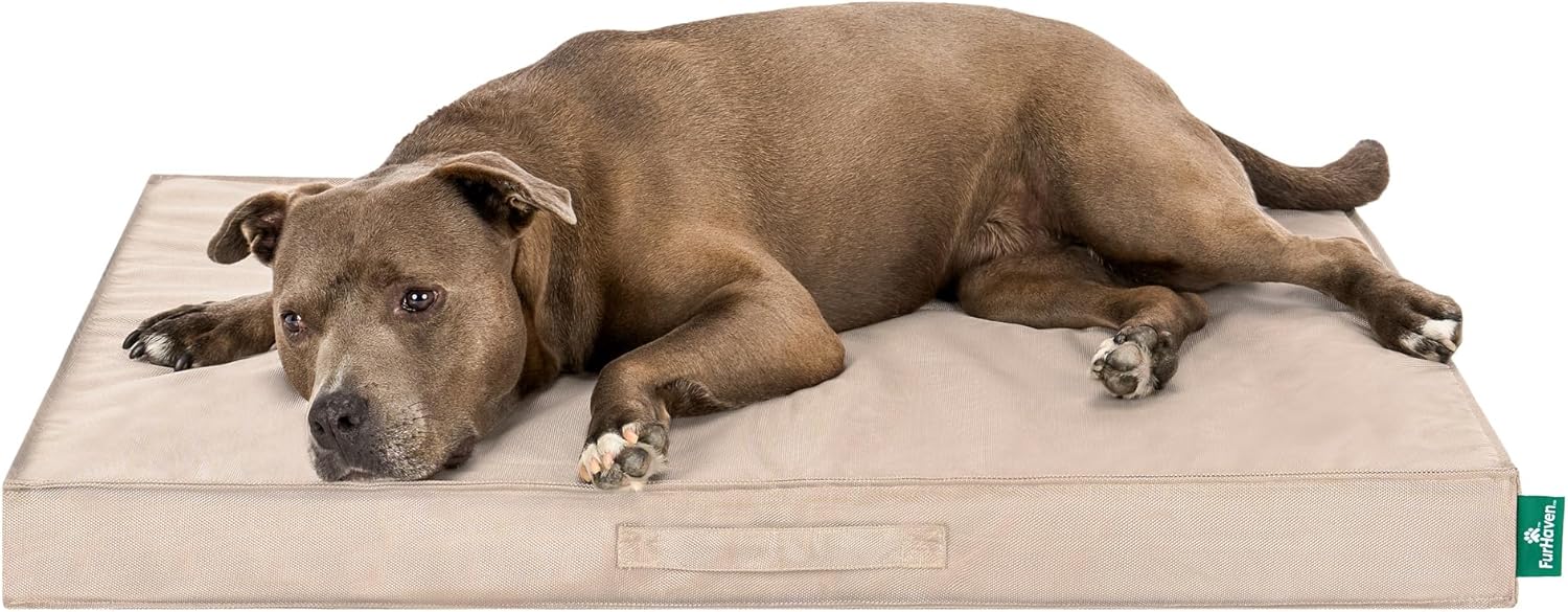 Premium Indoor-Outdoor Deluxe Orthopedic Mattress Pet Bed, Biscuit, Large