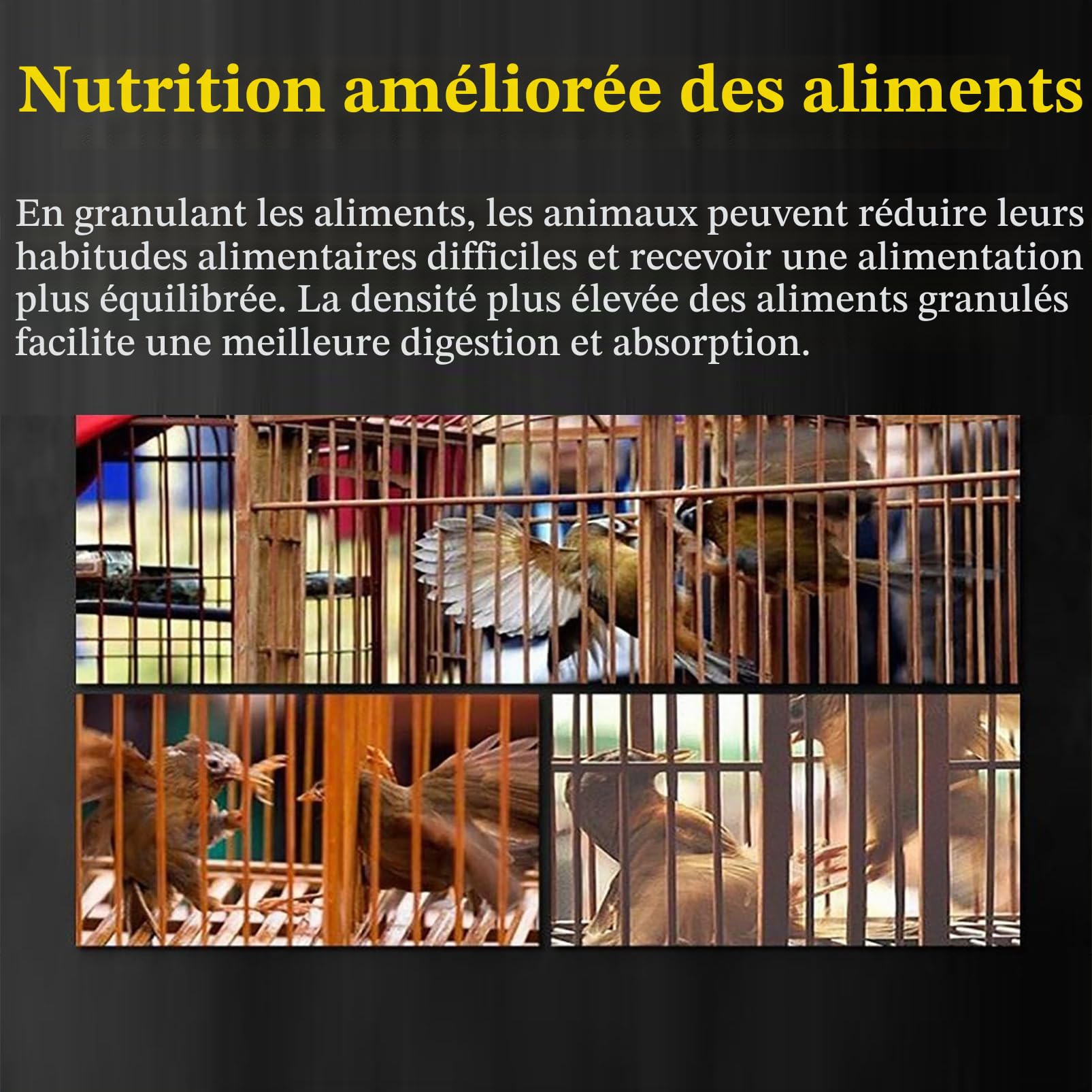 Machine électrique à Granulés pour Aliments pour Animaux, 500 W, Granulateur pour Appâts De Pêche Et Graines pour Oiseaux, avec Plateaux De 2,5/5/7,5 Mm, pour La Fabrication De Granulés pour Chats