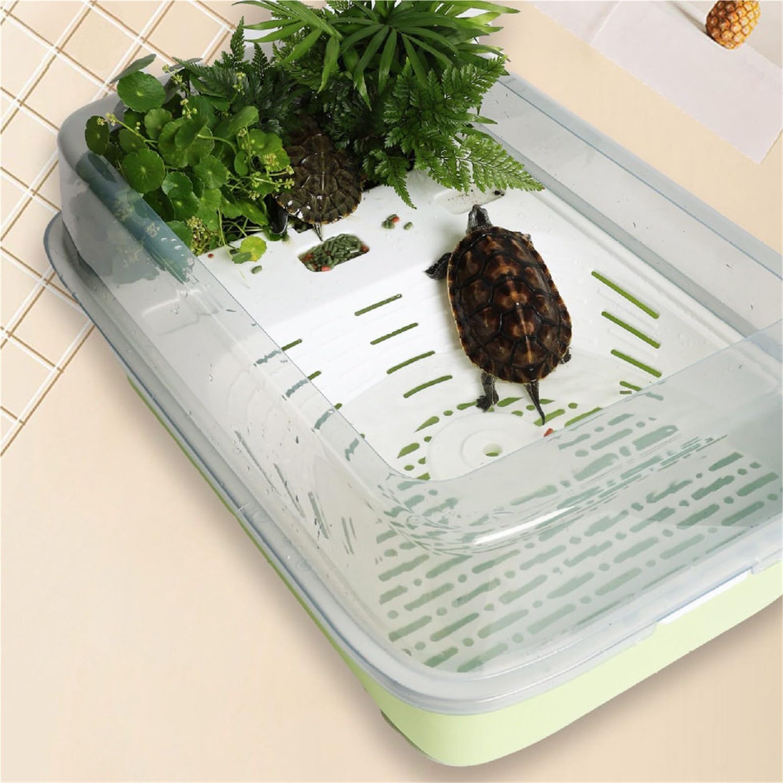 Siedlisko terrarium Zbiornik do karmienia żółwi, separacja odchodów, prostota na biurku Terrarium akwariowe(Blue)