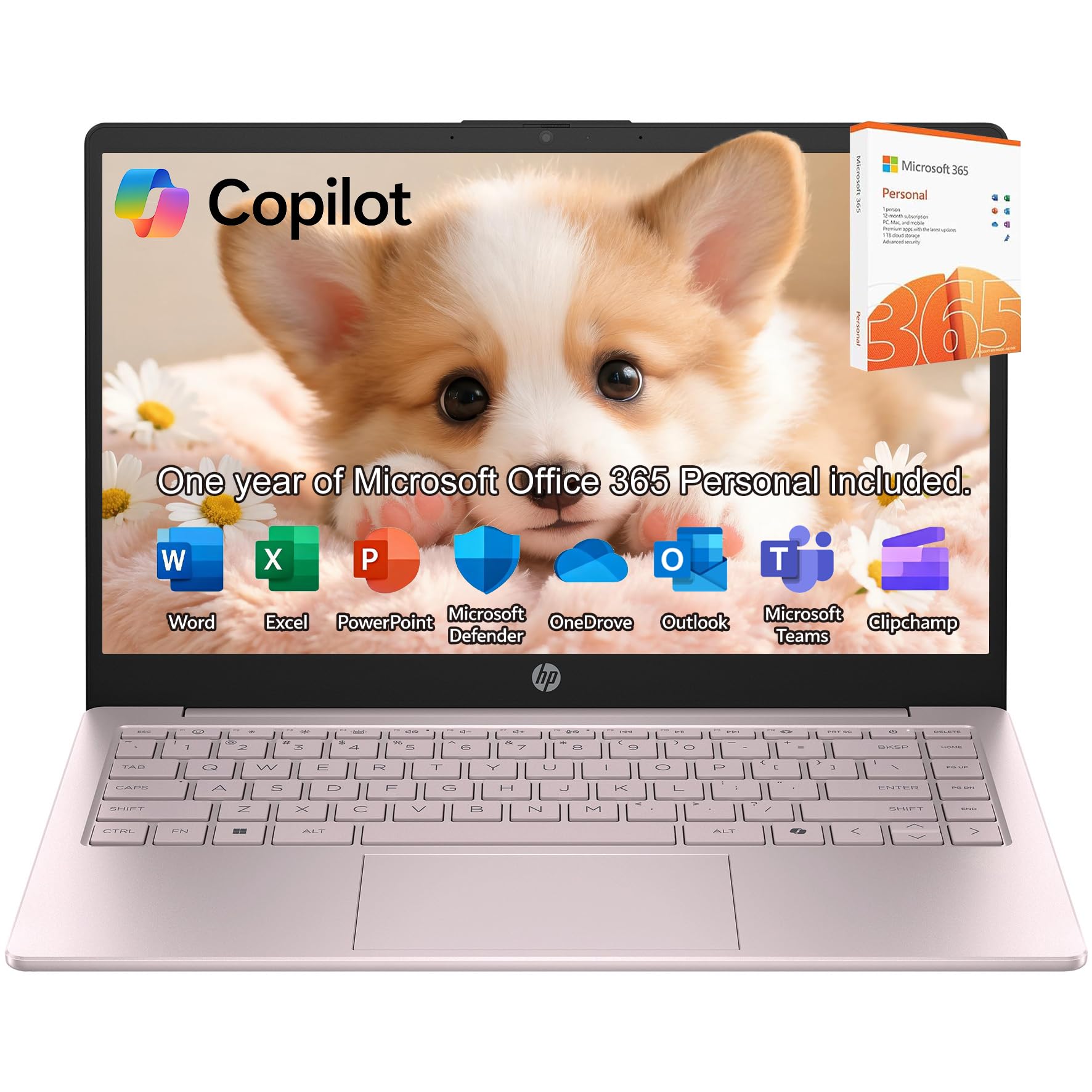 Amazon.com: HP Laptop 2026 Edition with Copilot AI, 8GB RAM, 256GB