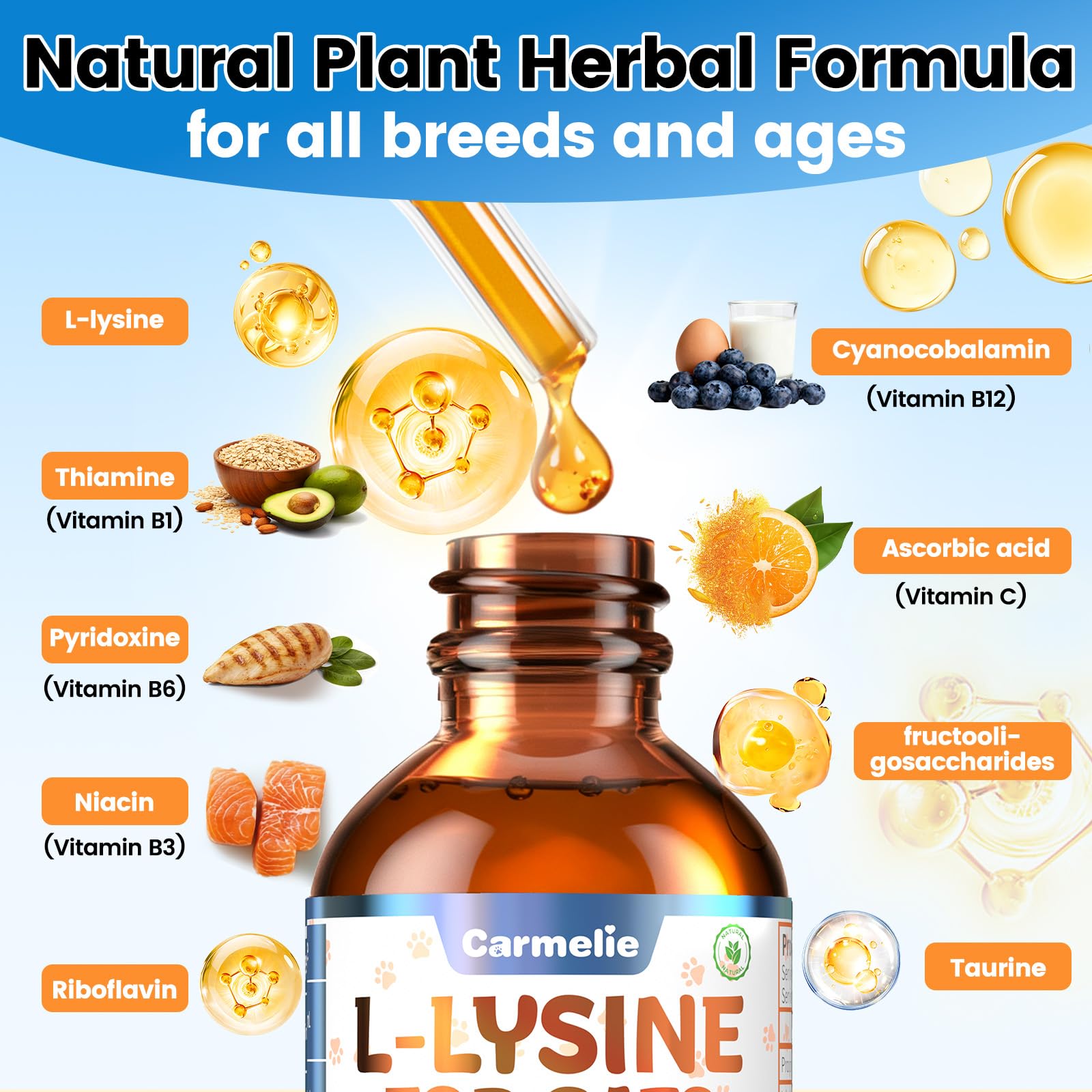 L-Lysine for Cats 60ml, Immune Respiratory Eye Support Roast Chicken Flavor — Amazon image 4