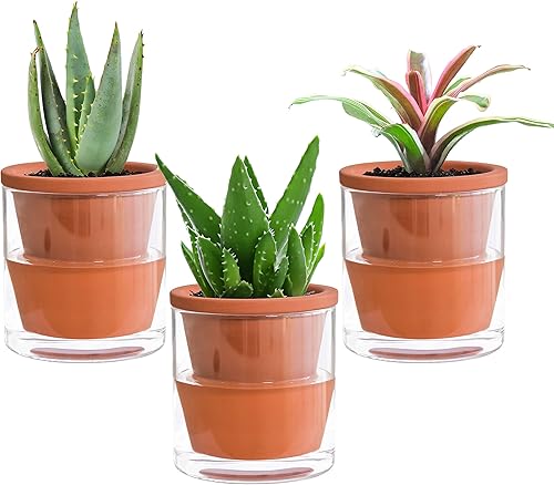D'vine Dev Maceta de riego automático de 4 pulgadas para plantas de interior, maceta de terracota con vaso de vidrio cilíndrico, juego de 3, 372-A-3
