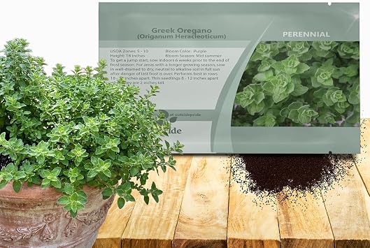 Outsidepride Greek Oregano Seeds - 5000 Pcs Perennial, Aromatic Easy to Grow Herb Seeds for Culinary Use, Flavorful Oregano Gardens & Tea Preparation, Food Seasoning & Traditional Uses