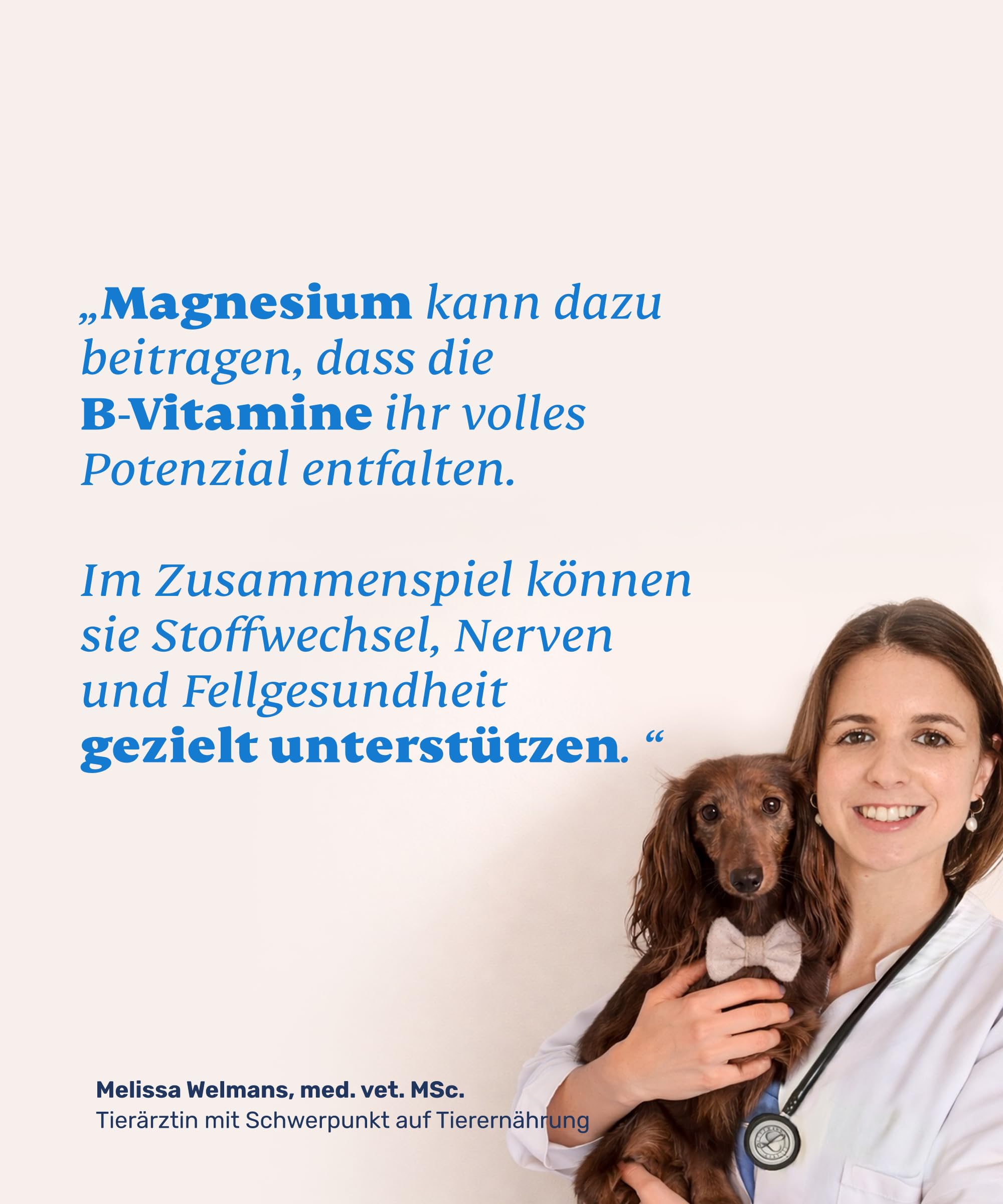 mammaly 4er BESTPREIS-Paket: Vitamin B Complete + Magnesium (bis 480 Tage) | mit 480 Tabletten (hochkonzentriert) für Stress, Haut & Fell - mit B12, Biotin - DLG zertifiziert - mit Tierärzten entwickelt