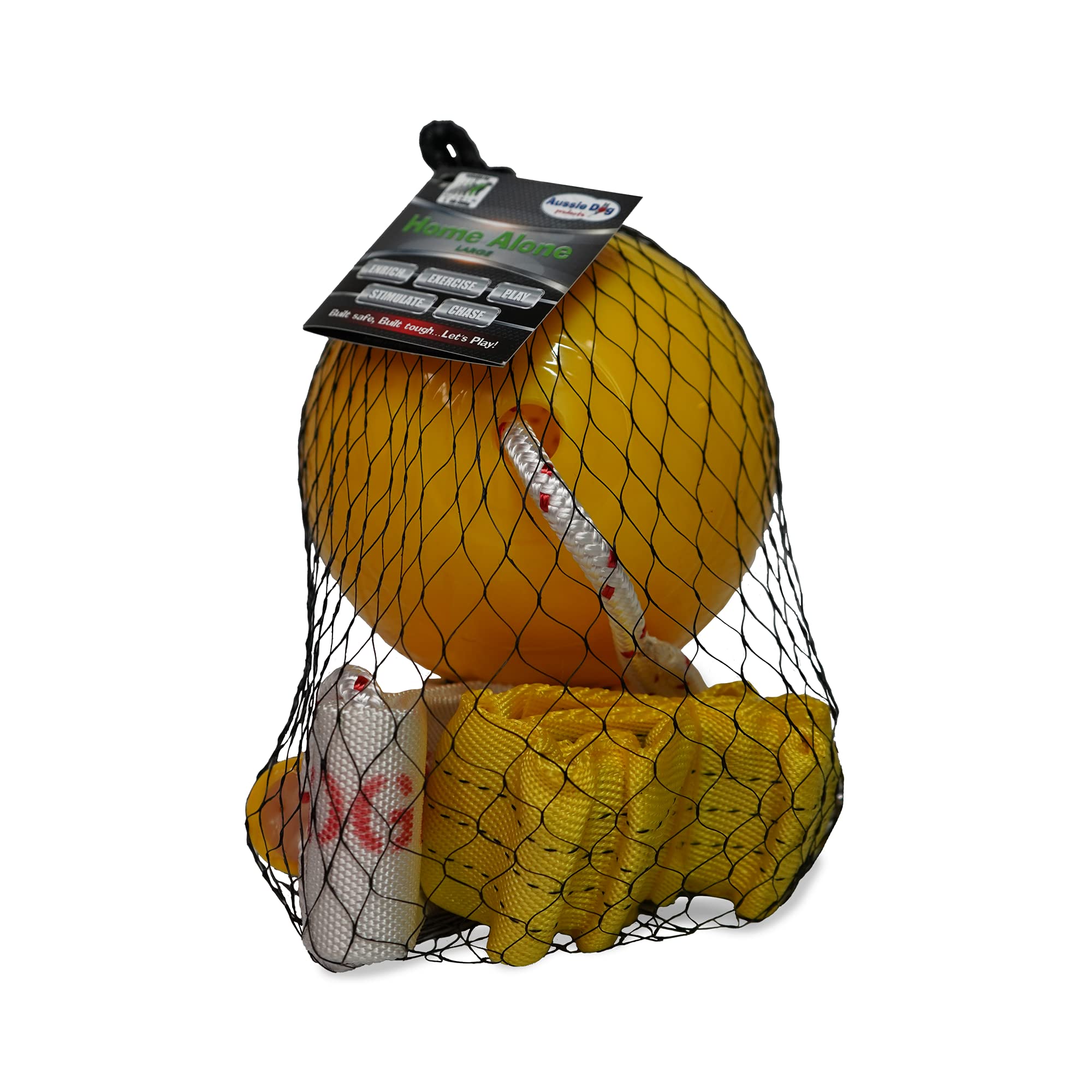 aussie dog home alone large