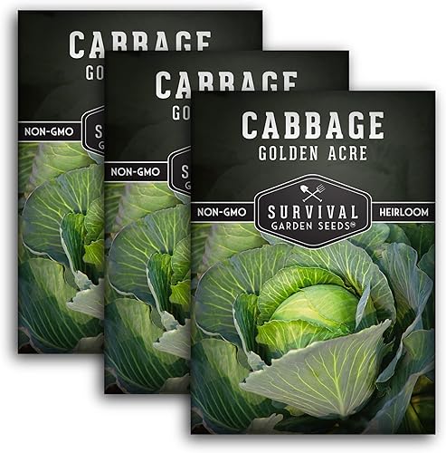 Survival Garden Seeds - Semilla de col verde Golden Acres - 3 paquetes con instrucciones para plantar y cultivar repollos de color amarillo y blanco