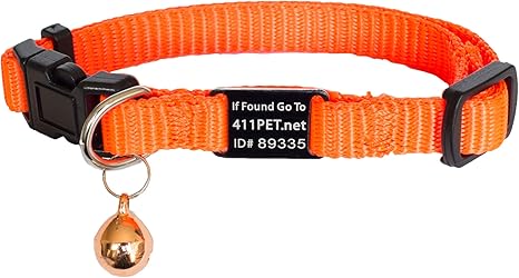 Cat collar with multiple bells Clearance