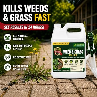 Natural Armor Weed and Grass Killer All-Natural Concentrated Formula. Contains No Glyphosate (1 Case of 4 Gallon Refills)
