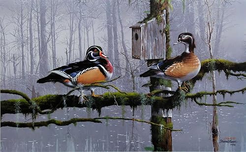 Phillip Crowe FRANKLY MY DEAR Lienzo firmado y numerado edición limitada con coa