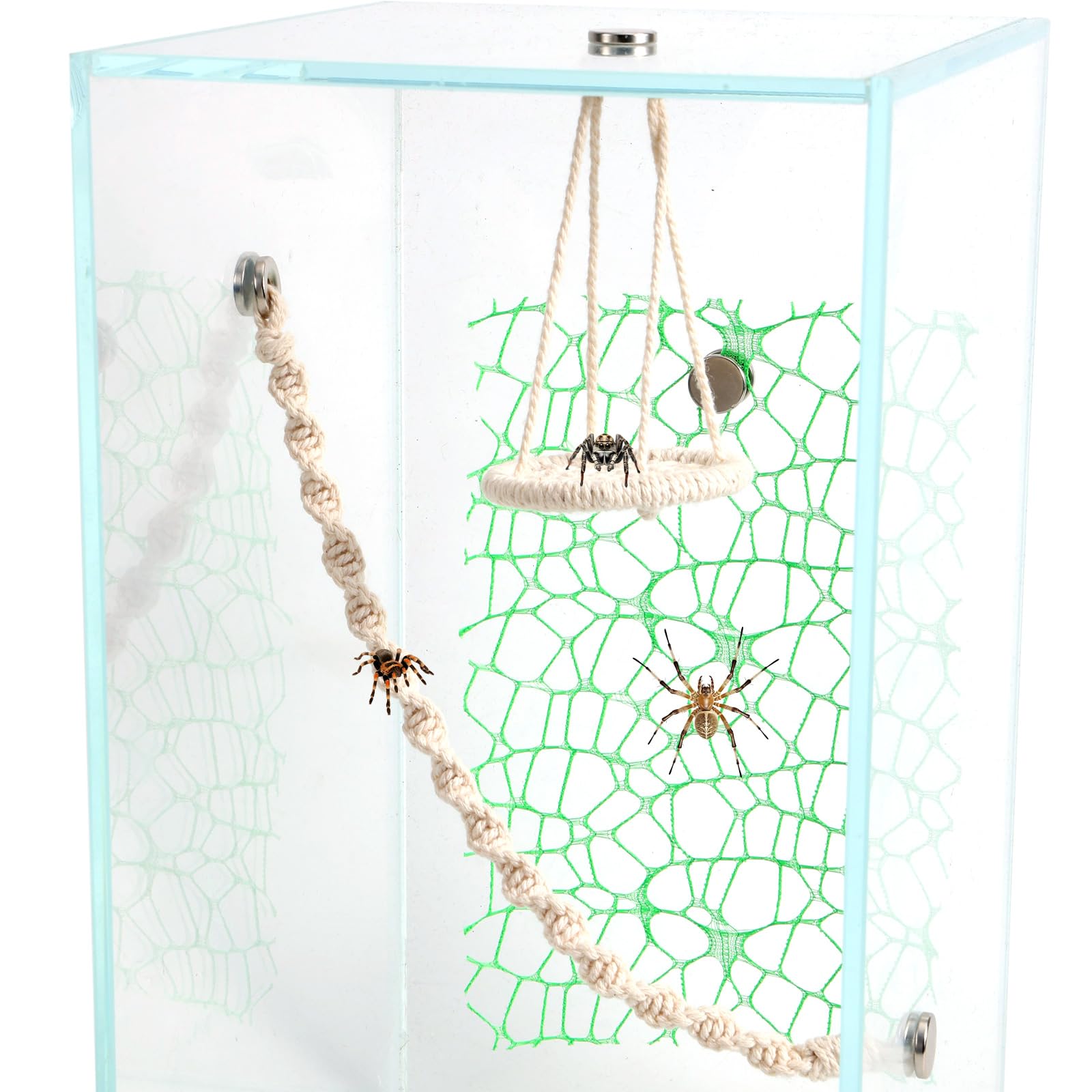 Fukaisu 14pcs Jumping Spider Enclosure Accessories Set, Cotton Rope Bridge Swing Magnetic Mounting Jumping Spider Hide Accessories Kit for Medium Enclosures Tarantula Mantis Habitat Decor