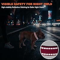Vista 5 de Taglory Collar reflectante para perro con hebilla de bloqueo de seguridad, collar acolchado de neopreno suave para perros medianos, anillo en D